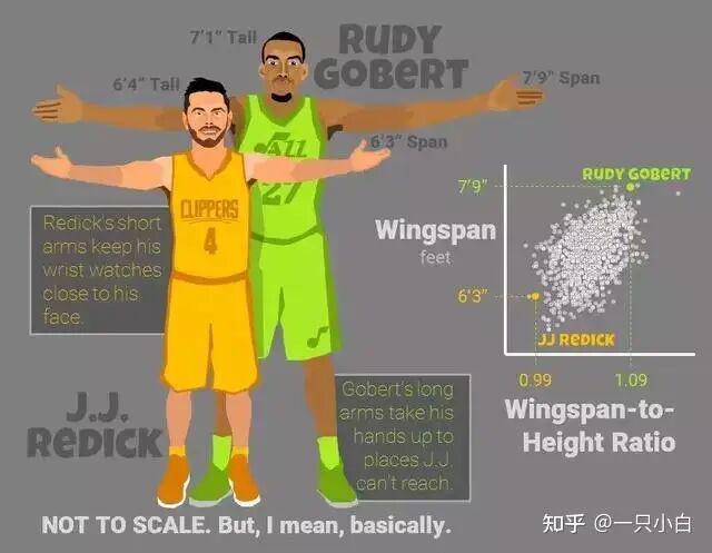 九游体育中国官网-NBA有哪些运动员拥有“非人类”的身材？