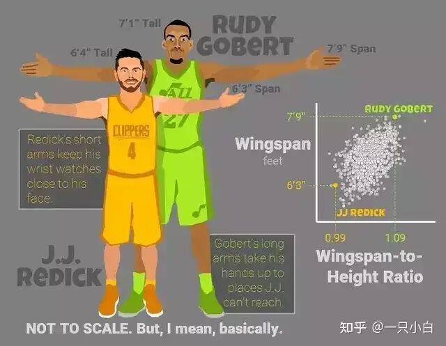 九游体育中国官网-NBA有哪些运动员拥有“非人类”的身材？