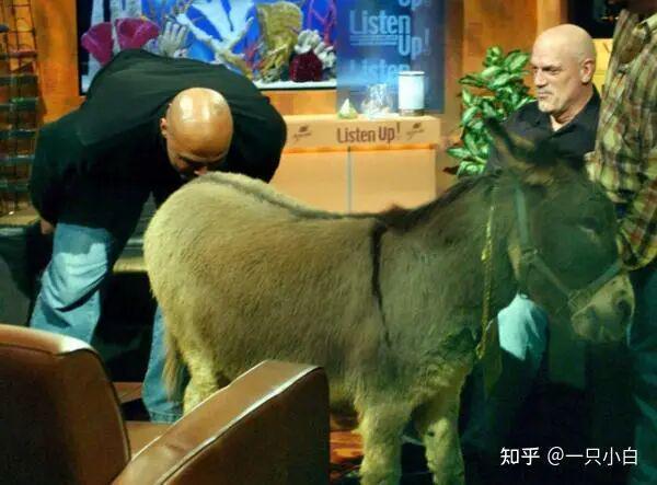 九游体育中国官网-NBA有哪些运动员拥有“非人类”的身材？